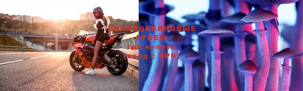 МДПВ Зерноград