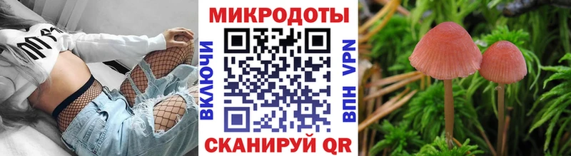 Галлюциногенные грибы Magic Shrooms  ссылка на мегу маркетплейс  Ленинск-Кузнецкий 